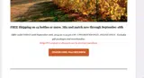 FALLFREESHIP24 coupon verification screenshot