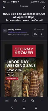 LABORDAY25 coupon verification screenshot