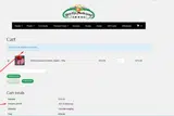 JUNE10 coupon verification screenshot
