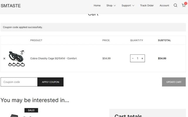 Strut checkout page showing Strut promo code box | Screenshot taken by SimplyCodes community member on Jul 10, 2025