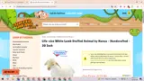 THANKYOU coupon verification screenshot