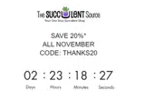 THANKS20 coupon verification screenshot