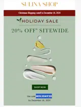 HOLIDAY20 coupon verification screenshot