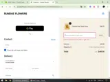 DEALSPOTRBRANDS coupon verification screenshot