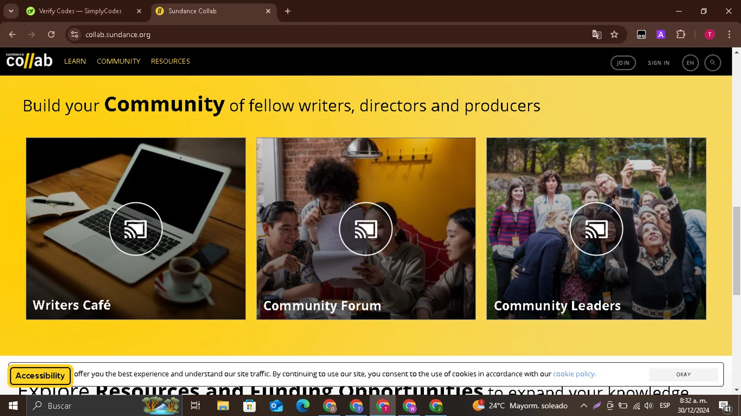 Sundance Film Festival checkout page showing Sundance Film Festival promo code box | Screenshot taken by SimplyCodes community member on Dec 30, 2024