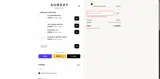 SAVE20 coupon verification screenshot