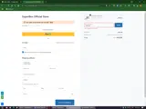 TPDEALS coupon verification screenshot