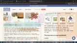 25OFF coupon verification screenshot