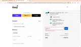 BIGSALE10 coupon verification screenshot
