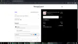 Susan Lanci Designs coupon verification screenshot