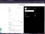 Susan Lanci Designs coupon verification screenshot