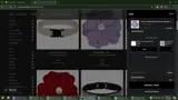 Susan Lanci Designs coupon verification screenshot