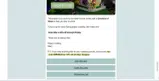 SPRING30 coupon verification screenshot