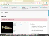 SAVE6 coupon verification screenshot