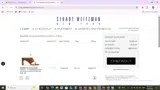 Stuart Weitzman Outlet coupon verification screenshot
