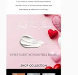 LOVE20 coupon verification screenshot
