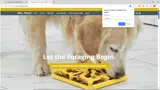 SHIPMY1U-QI9 coupon verification screenshot