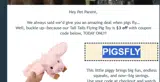 PIGSFLY coupon verification screenshot
