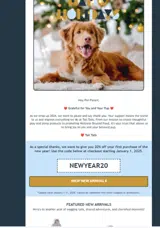 NEWYEAR20 coupon verification screenshot