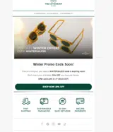 WINTERSALE20 coupon verification screenshot