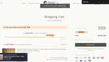 WINTER10 coupon verification screenshot