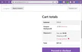 THANKYOU20 coupon verification screenshot