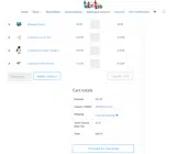 Teton Toys coupon verification screenshot