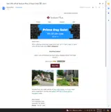 PRIME24N coupon verification screenshot