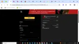 NESTOR15 coupon verification screenshot