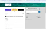PAYSAVE coupon verification screenshot