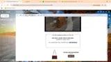 DOLLBABY20 coupon verification screenshot