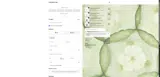 SKINDEEPATX coupon verification screenshot