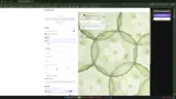 WELCOME10 coupon verification screenshot