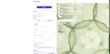 MYCOZYGLAM coupon verification screenshot