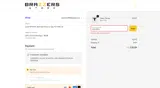 The Brazzers Store coupon verification screenshot