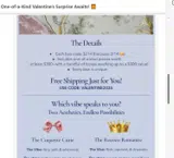 valentine2026 coupon verification screenshot