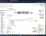 SPRING coupon verification screenshot