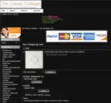 SPRING coupon verification screenshot
