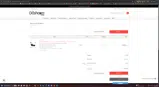The Dashcam Store coupon verification screenshot