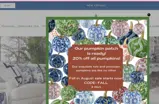 The Enchanted Home coupon verification screenshot