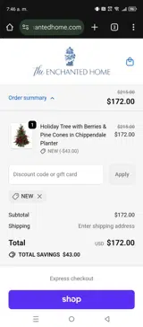 The Enchanted Home coupon verification screenshot