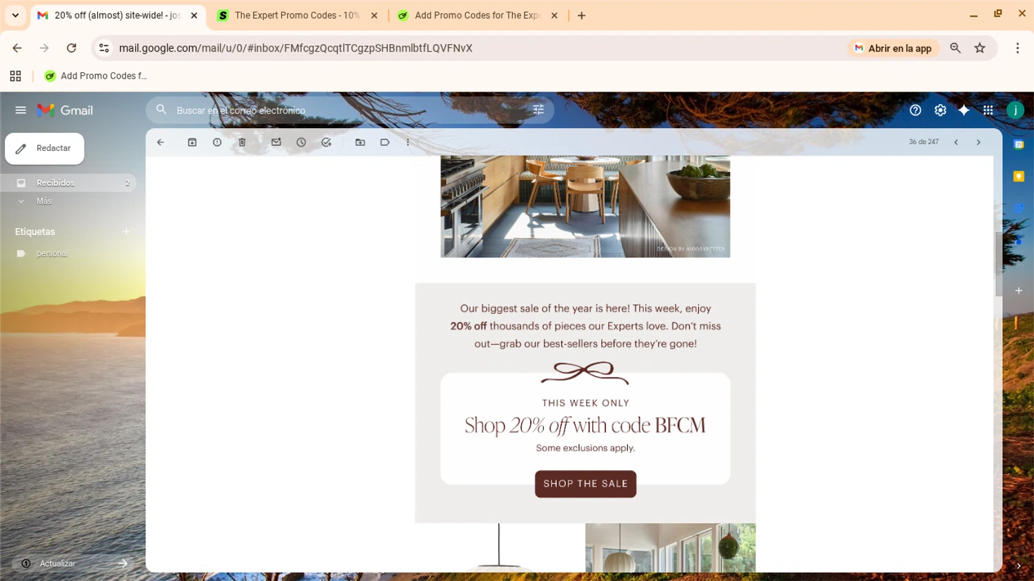 The Expert promo code screenshot showing code bfcm applied at The Expert checkout page. Uploaded by SimplyCodes community member yennifergonzalez on Nov 26, 2025