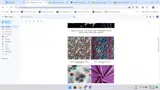 FIREWORKS coupon verification screenshot