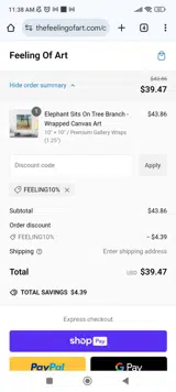 FEELING10% coupon verification screenshot