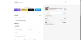 The Flat Lay Co US coupon verification screenshot