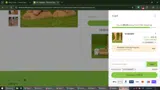 The Foot Collective coupon verification screenshot