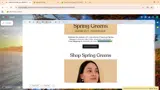 SPRINGGREENS coupon verification screenshot