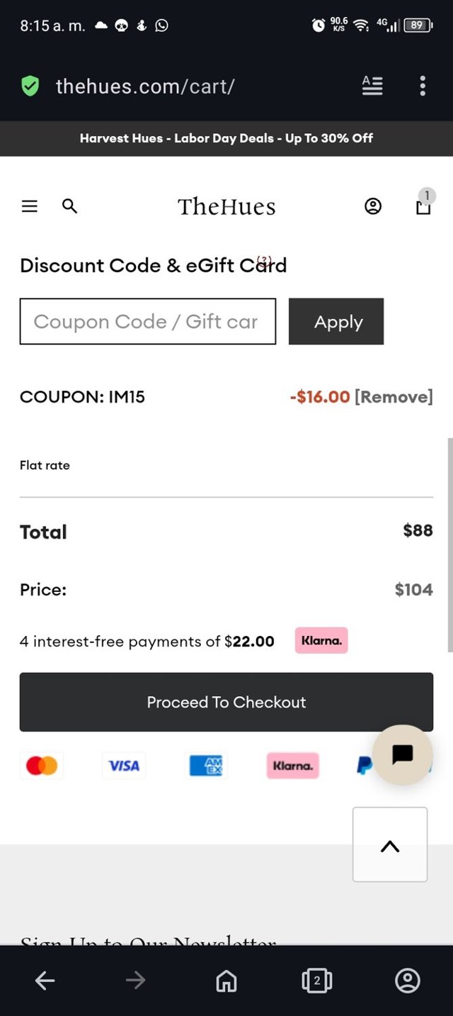 The Hues checkout page showing The Hues promo code box | Screenshot taken by SimplyCodes community member on Aug 29, 2024