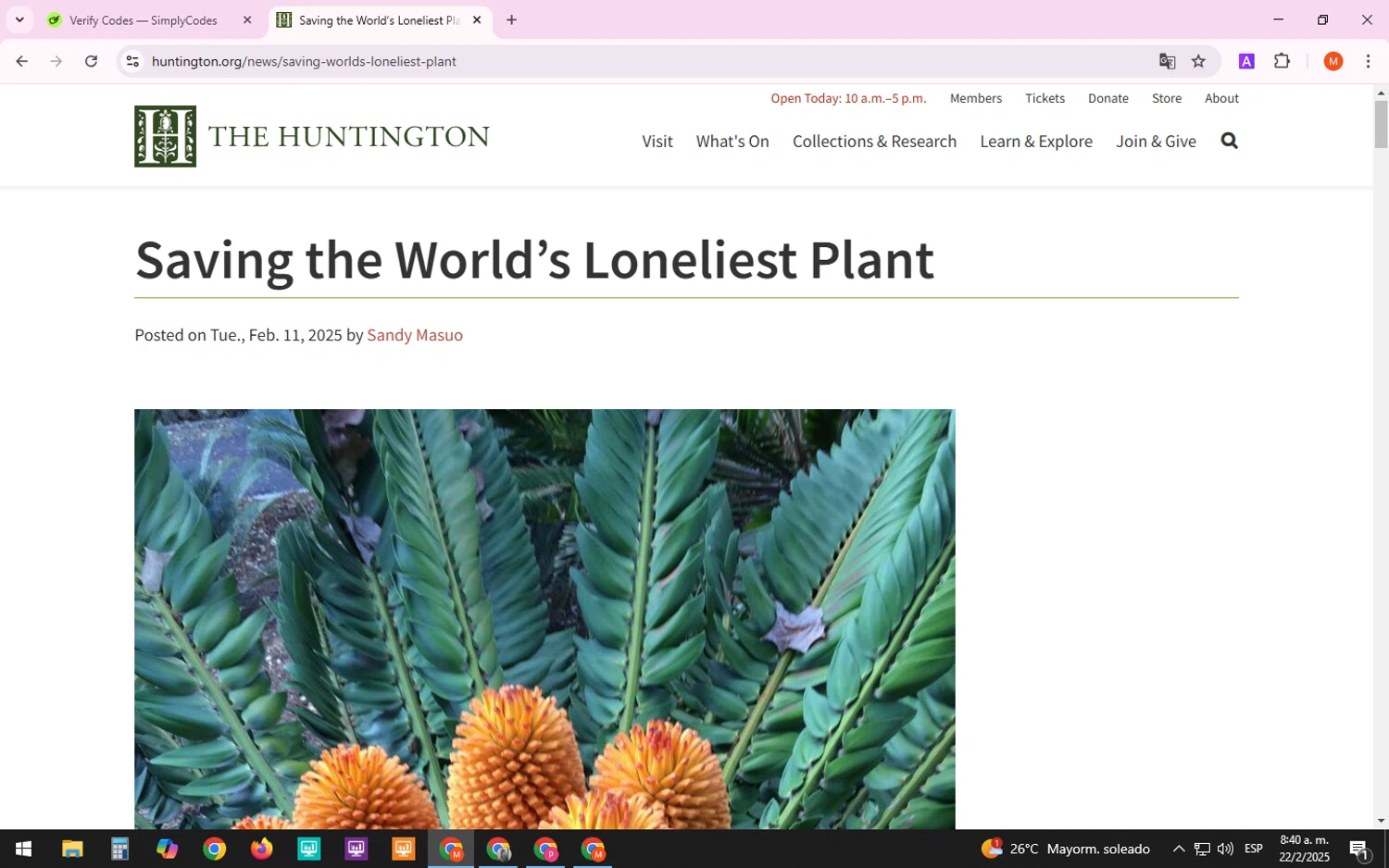 The Huntington promo code screenshot showing code 2FREEMONTHS applied at The Huntington checkout page. Uploaded by SimplyCodes community member TreasureTracker4321 on Feb 22, 2025