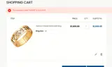 Feb100 coupon verification screenshot